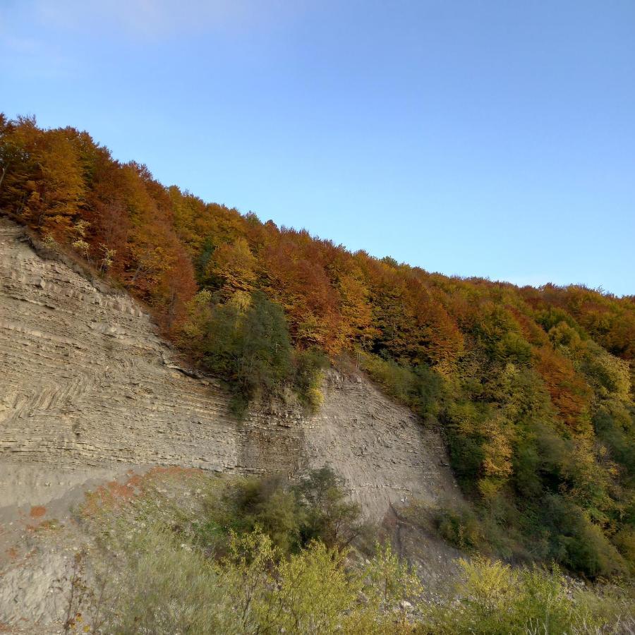 Лаванда Jaremtsje Buitenkant foto