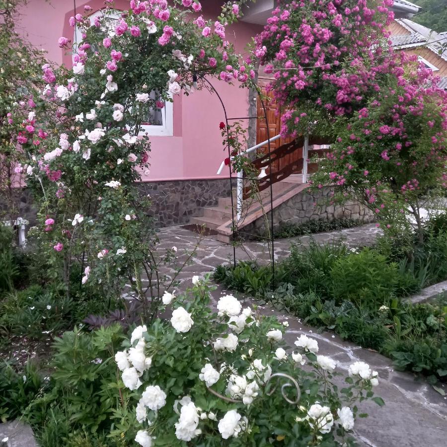 Лаванда Jaremtsje Buitenkant foto